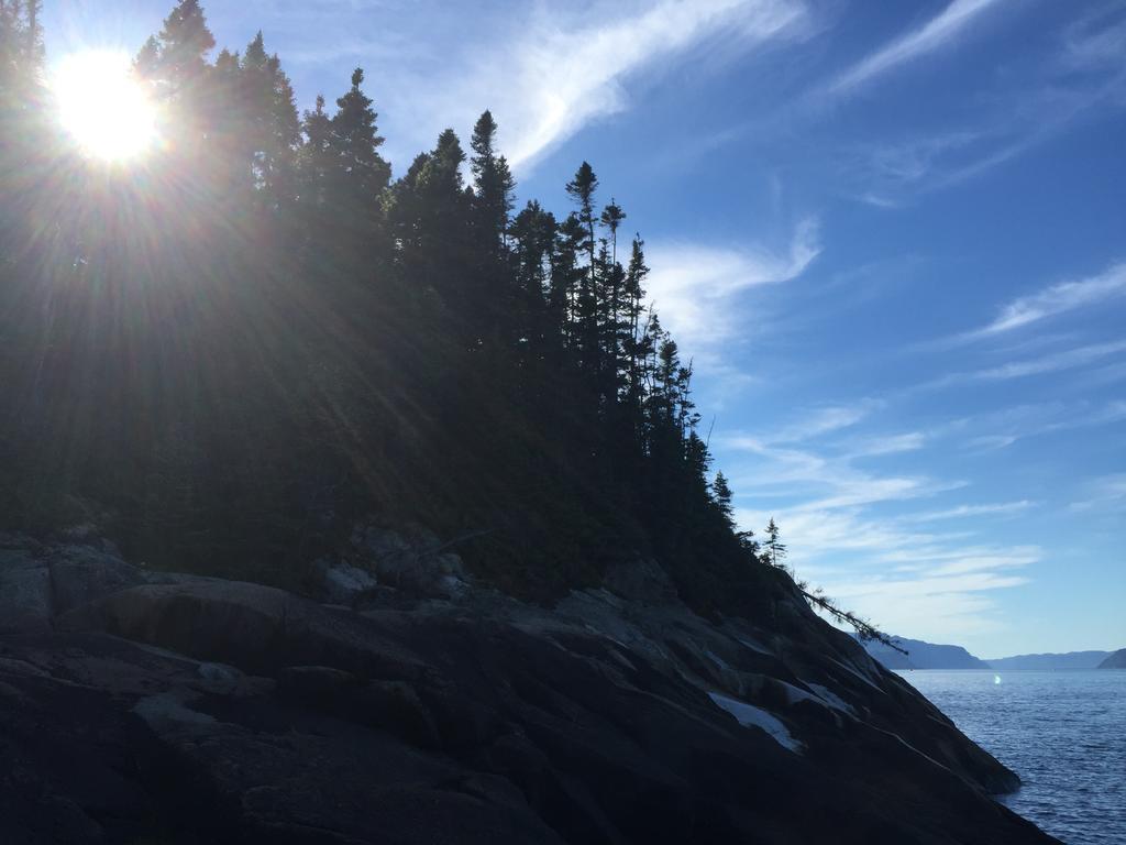 Residence Touristique Les Bouleaux Petit-Saguenay 外观 照片